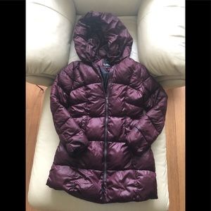 Sam Edelman Down Puffer Coat/Jacket Lined Hood